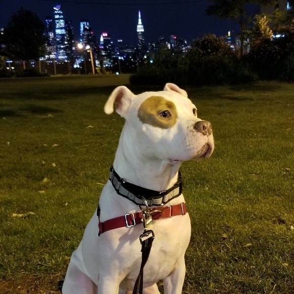 Meet your Posher, Christina - Picture 7 of 7